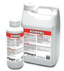 Kendal lt.10 Valagro